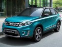 Suzuki Grand vitara 1.6L 2017 - Cần bán xe Suzuki Grand vitara đời 2017, xe nhập