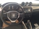 Suzuki Vitara 2016 - Bán xe Suzuki Vitara đời 2016, xe nhập, giá 740tr