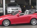 Mercedes-Benz SLK class SLK200 2010 - Bán Mercedes SLK200 đời 2010, màu đỏ, xe nhập, giá chỉ 980 triệu