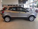Ford EcoSport 2017 - Bán ô tô Ford EcoSport đời 2017, màu trắng, nhập khẩu 