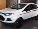 Ford EcoSport 2017 - Bán ô tô Ford EcoSport đời 2017, màu trắng, nhập khẩu 
