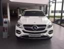 Mercedes-Benz GLE-Class   GLE400 2016 - Cần bán Mercedes GLE400 đời 2016, màu trắng, nhập khẩu