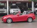 Mercedes-Benz SLK class SLK200 2010 - Bán xe Mercedes SLK200 đời 2010, màu đỏ, nhập khẩu