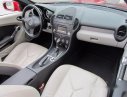 Mercedes-Benz SLK class SLK200 2010 - Bán xe Mercedes SLK200 đời 2010, màu đỏ, nhập khẩu