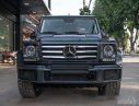 Mercedes-Benz G class G350 2016 - Cần bán Mercedes G350 đời 2016, màu đen, xe nhập