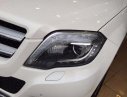 Mercedes-Benz GLK GLK220 AMG 2013 - Bán Mercedes GLK220 AMG đời 2013, màu trắng, nhập khẩu nguyên chiếc