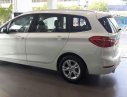 BMW 2 Series 218i GT 2017 - Bán BMW 2 Series 218i GT đời 2017, màu trắng, nhập khẩu