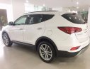 Hyundai Tucson 2017 - Cần bán xe Hyundai Tucson đời 2017, màu trắng