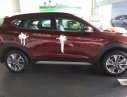 Hyundai Tucson 2017 - Bán Hyundai Tucson đời 2017, màu đỏ, 760 triệu