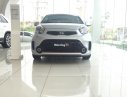 Kia Morning  EX MT 2017 - Cần bán xe Kia Morning đời 2017, màu bạc, bản 4 máy EX MT
