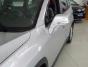 Chevrolet Orlando LT 2017 - Bán Chevrolet Orlando LT 7 chỗ, tư vấn nhiệt tình, hỗ trợ ngân hàng miễn phí, giao xe tận nhà, LH Nhung 0907148849