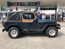 Jeep Wrangler 1995 - Cần bán lại xe Jeep Wrangler sản xuất 1995, màu xanh lam, xe nhập