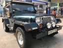 Jeep Wrangler 1995 - Cần bán lại xe Jeep Wrangler sản xuất 1995, màu xanh lam, xe nhập