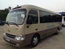 Hyundai County Limousine 2015 - Cần bán Hyundai County Limousine đời 2015, màu kem (be), 835tr