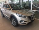 Hyundai Tucson   2.0 AT 2017 - Bán ô tô Hyundai Tucson 2.0 AT 2017