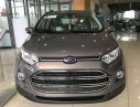 Ford EcoSport 1.5L AT  2017 - Cần bán xe Ford EcoSport 1.5L AT sản xuất 2017, giá chỉ 555 triệu