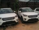 Hyundai Creta   2017 - Bán xe Hyundai Creta đời 2017, màu trắng, nhập khẩu nguyên chiếc