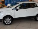 Ford EcoSport 2017 - Cần bán xe Ford EcoSport đời 2017, màu trắng