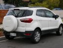 Ford EcoSport 2017 - Cần bán xe Ford EcoSport đời 2017, màu trắng