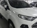 Ford EcoSport Trend 2015 - Bán xe Ford EcoSport Trend đời 2015, màu trắng