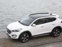 Hyundai Tucson   2017 - Bán xe Hyundai Tucson đời 2017, màu trắng, giá chỉ 890 triệu