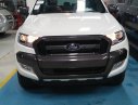 Ford Ranger Wildtrak 2017 - Cần bán bán tải Ford Ranger Wildtrak đời 2018, giá xe chưa giảm. Liên hệ Mr. Đạt: 093.114.2545 -097.140.7753