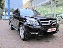 Mercedes-Benz GLK Class 300 2012 - Bán Mercedes GLK 300 sản xuất 2012, màu đen