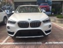 BMW X1  xDrive 2017 - Bán BMW X1 xDrive đời 2017, màu trắng, nhập khẩu