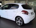 Peugeot 208 2016 - Bán Peugeot 208 đời 2016, màu trắng, nhập khẩu, giá 895tr