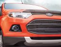 Ford EcoSport 2017 - Cần bán xe Ford EcoSport đời 2017, nhập khẩu nguyên chiếc, giá chỉ 555 triệu