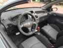 Peugeot 206 CC 2006 - Bán Peugeot 206 CC đời 2007, màu xanh lam, nhập khẩu, giá tốt