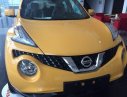 Nissan Juke 2017 - Cần bán Nissan Juke đời 2017, màu vàng, xe nhập