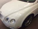 Bentley Continental GT 2006 - Cần bán xe Bentley Continental GT sản xuất 2006, màu trắng, nhập khẩu - LH 0979787878