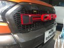 Ford Ranger 2017 - Cần bán xe Ford Ranger đời 2017, nhập khẩu