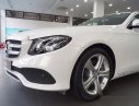 Mercedes-Benz E class E250 2017 - Bán ô tô Mercedes E250 2017, màu trắng, nhập khẩu