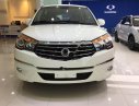 Ssangyong Stavic Khác Stavic 2017 - Bán ô tô Ssangyong Stavic Khác Stavic đời 2017, màu trắng, nhập khẩu