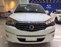 Ssangyong Stavic   2017 - Cần bán Ssangyong Stavic sản xuất 2017, màu trắng, xe nhập