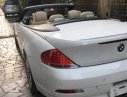 BMW 6 Series  650i 2008 - Bán xe BMW 6 Series 650i đời 2008, màu trắng 