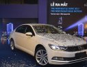 Volkswagen Passat 2017 - 1 tỷ 590 bạn đã sở hữu passat 1.8 turbo (có sẵn màu trắng). Giao xe tận nơ, hỗ trợ vay 80% giá xe