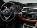 BMW 3 Series 320i 2017 - Bán xe BMW 3 Series (320i + 320i LCI + 330i + 320i GT) nhập khẩu, có xe giao ngay, giá rẻ nhất, nhiều màu