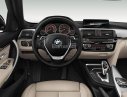 BMW 3 Series 320i 2017 - Bán xe BMW 3 Series (320i + 320i LCI + 330i + 320i GT) nhập khẩu, có xe giao ngay, giá rẻ nhất, nhiều màu