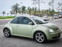 Volkswagen New Beetle 2.5 AT 2007 - Cần bán Volkswagen New Beetle 2.5 AT năm 2007, màu xanh lam, nhập khẩu  