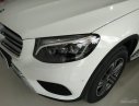 Mercedes-Benz Smart Glc 250  2016 - Bán xe Mercedes GLC 250 đời 2017 đủ màu, xe giao ngay nhiều quà tặng