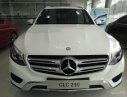 Mercedes-Benz Smart Glc 250  2016 - Bán xe Mercedes GLC 250 đời 2017 đủ màu, xe giao ngay nhiều quà tặng