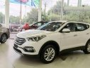 Hyundai Santa Fe 2017 - Bán xe Hyundai Santa Fe năm 2017, màu trắng