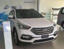 Hyundai Santa Fe 2017 - Bán xe Hyundai Santa Fe năm 2017, màu trắng