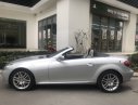 Mercedes-Benz SLK class 200 2010 - Mercedes Benz SLK200 2010 màu bạc, nhập khẩu Đức, biển Hà Nội