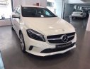 Mercedes-Benz A class A200 2015 - Bán gấp Mercedes A200 đời 2015, màu trắng, nhập khẩu