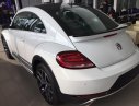 Volkswagen Beetle 2017 - Beetle cuốn hút mọi ánh nhìn, Queen Car