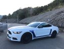 Ford Mustang 2014 - Bán Ford Mustang đời 2014, màu trắng, xe nhập khẩu Mỹ